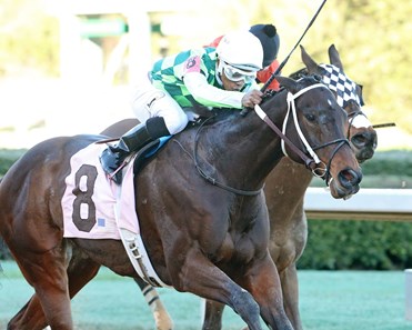 Chanteline wins the 2018 Spring Fever