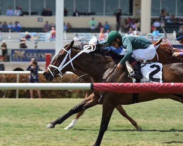 Figarella's Queen wins the 2018 Sanibel Island