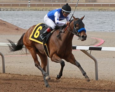Faypien wins the 2018 Harry W Henson Handicap