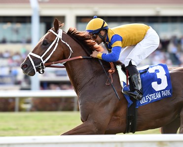 Hi Happy wins the 2018 Pan American Stakes