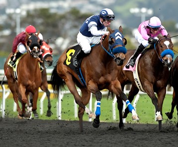 Mother of Dragons with jockey Julien Couton win the Camilla Urso $50,000 Added with a time of 1:09.58. Trained by Andreas Psarras.