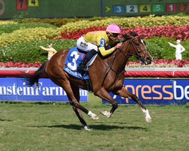 Thewayiam wins the 2018 Herecomesthebride Stakes