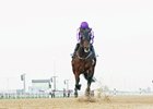 Mendelssohn is all alone in the UAE Derby at Meydan