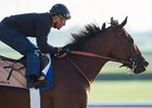 Roy H trains under Kent Desormeaux at Meydan
