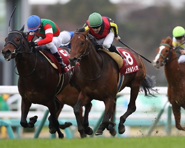 Stelvio wins the 2018 Spring Stakes
