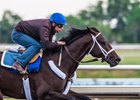 Avery Island works at Palm Meadows Training Center