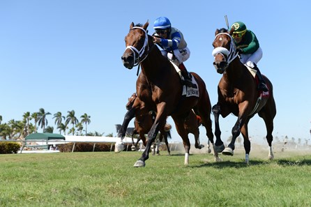Maraud wins the 2018 Palm Beach Stakes