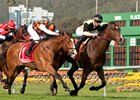 Flamboyant (inside) edges Editore for the San Francisco Mile score at Golden Gate Fields