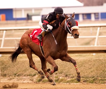 Something Awesome wins the 2018 Harrison E. Johnson Memorial
