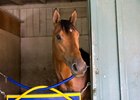 Mourinho at Santa Anita Park