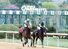 Party Club - Maiden Win, Oaklawn Park - March 25, 2018