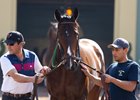 Bolt d'Oro currently tops the Road to the Kentucky Derby leaderboard with 64 points