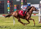 Synchrony wins the Muniz Memorial Handicap at Fair Grounds Race Course