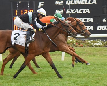 Andina Del Sur wins the 2018 Florida Oaks