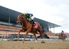 Divine Miss Grey wins the Heavenly Prize Invitational Stakes at Aqueduct Racetrack