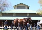 A horse passes the pavilion at the OBS March sale