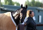 Midnight Bisou will be trainer Bill Spawr's first runner in the Kentucky Oaks