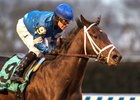 Enticed cruises home in the Gotham Stakes at Aqueduct Racetrack