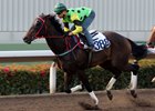 Nothingilikemore takes a trial race at Sha Tin Racecourse