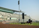 Gunnevera striding out March 27 at Meydan
