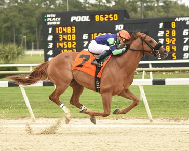 War Story wins the 2018 Challenger Stakes