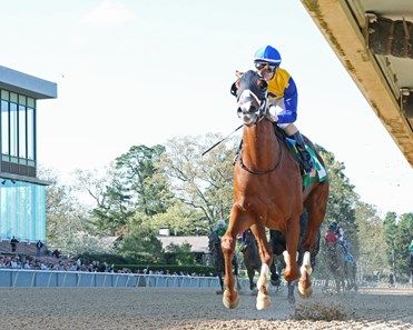 Hoonani Road wins the 2018 Rainbow Stakes