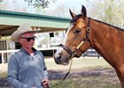 Consignor Hoby Kight with Hip 567, a colt by Goldencents, at the 2018 OBS 2-year-olds in training sale