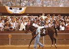 Franklin and Spectacular Bid after 1979 Preakness Stakes