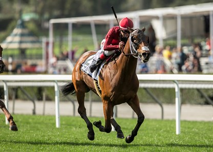 Itsinthepost and jockey Tyler Baze win the G2, $200,000 San Luis Rey Stakes, Saturday, March 24, 2018 at Santa Anita Park, Arcadia CA.