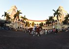 Promises Fulfilled wins the 2018 Fountain of Youth Stakes