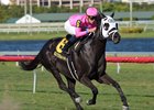 Hogy stretches out to win the Canadian Turf Stakes at Gulfstream Park