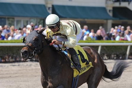 Elevenses wins the 2018 Any Limit Stakes