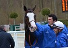 Talismanic after winning the Darshaan Stakes at Chantilly Racecourse