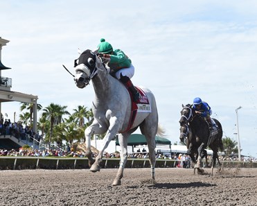 Conquest Big E wins the 2018 Gulfstream Park Hardacre Mile