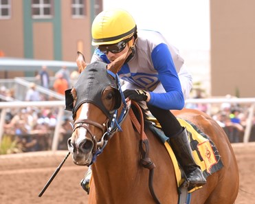 Blazing Navarone wins the 2018 New Mexico Breeders' Derby