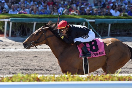 Fly So High wins the 2018 Davona Dale Stakes