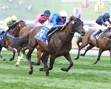 Jungle Cat wins the 2018 Al Quoz Sprint