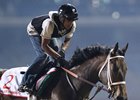 Forever Unbridled gallops at Meydan