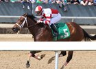 Jenda's Agenda enters the Doubledogdare off an allowance optional-claiming race win at Oaklawn Park