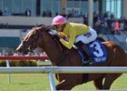Thewayiam wins the Herecomesthebride Stakes at Gulfstream Park