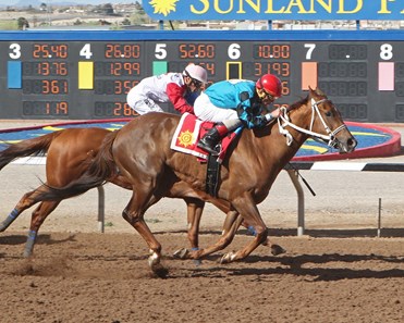 Tilla Cat wins the 2018 La Coneja Stakes