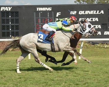 Swagger Jagger wins the 2018 EG Vodka Turf Classic Stakes