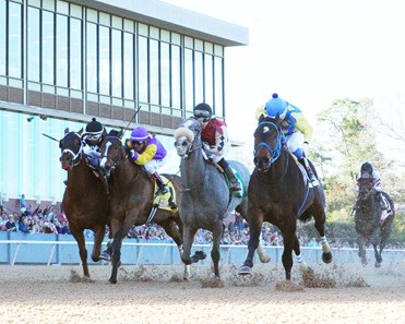 J. E.'s Handmedown wins the 2018 Nodouble Breeders' Stakes