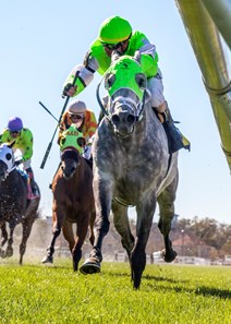 3/3/2018. - Corey Lanerie aboard Trust Factor captures the 38th running of the Dixie Poker Ace Stakes at Fair Grounds.