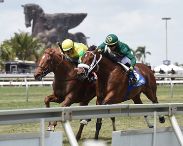 Therapist wins the 2018 Cutler Bay
