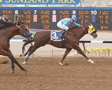 Mt Veeder wins the 2018 Bill Thomas Memorial Stakes