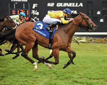 Tampa Bay Downs, Oldsmar FL
The 20th Running of the Grade II $225,000 Hillsborough Stakes
Fourstar Crook
Owned by Michael Dubb, Gary Aisquith & Bethlehem Stables, LLC
Trained by Chad Brown
Ridden by Jockey Irad Ortiz, Jr.
1 1/8 Miles in 1:48.43
$9.80 $5.40 $3.80