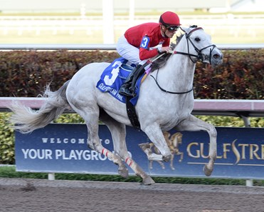 Madison's Luna wins the 2018 Hutcheson Stakes
