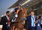 Mind Your Biscuits is led to the winner's circle after his Golden Shaheen repeat at Meydan