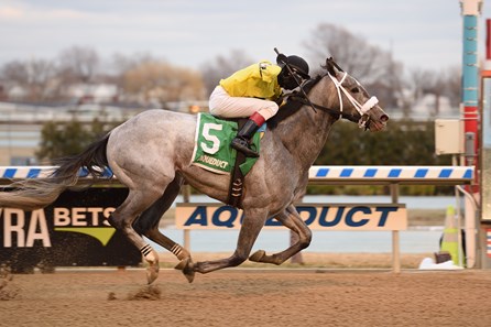 Skyler's Scramjet wins the 2018 Tom Fool Handicap